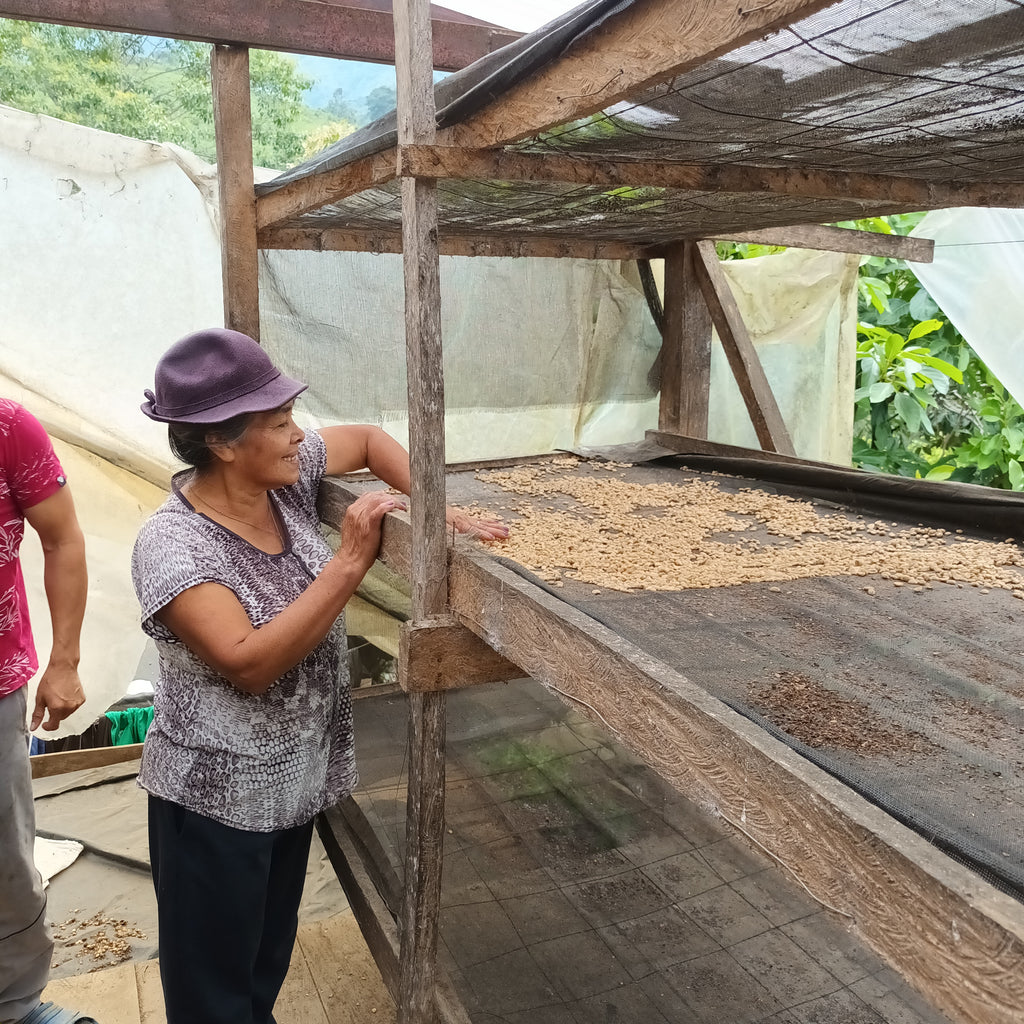 Doris spreading beans on drying beds