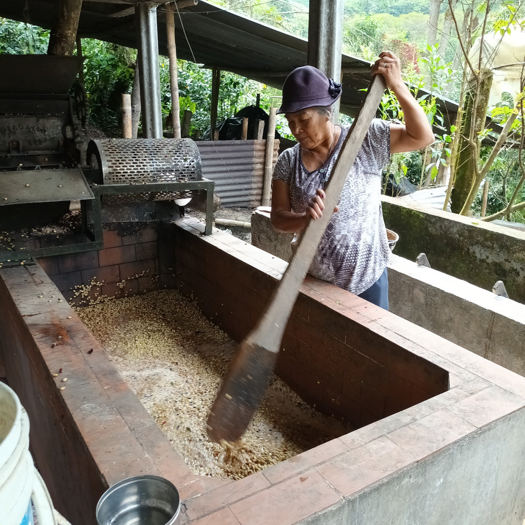 Doris stirring the coffee in soak tanks